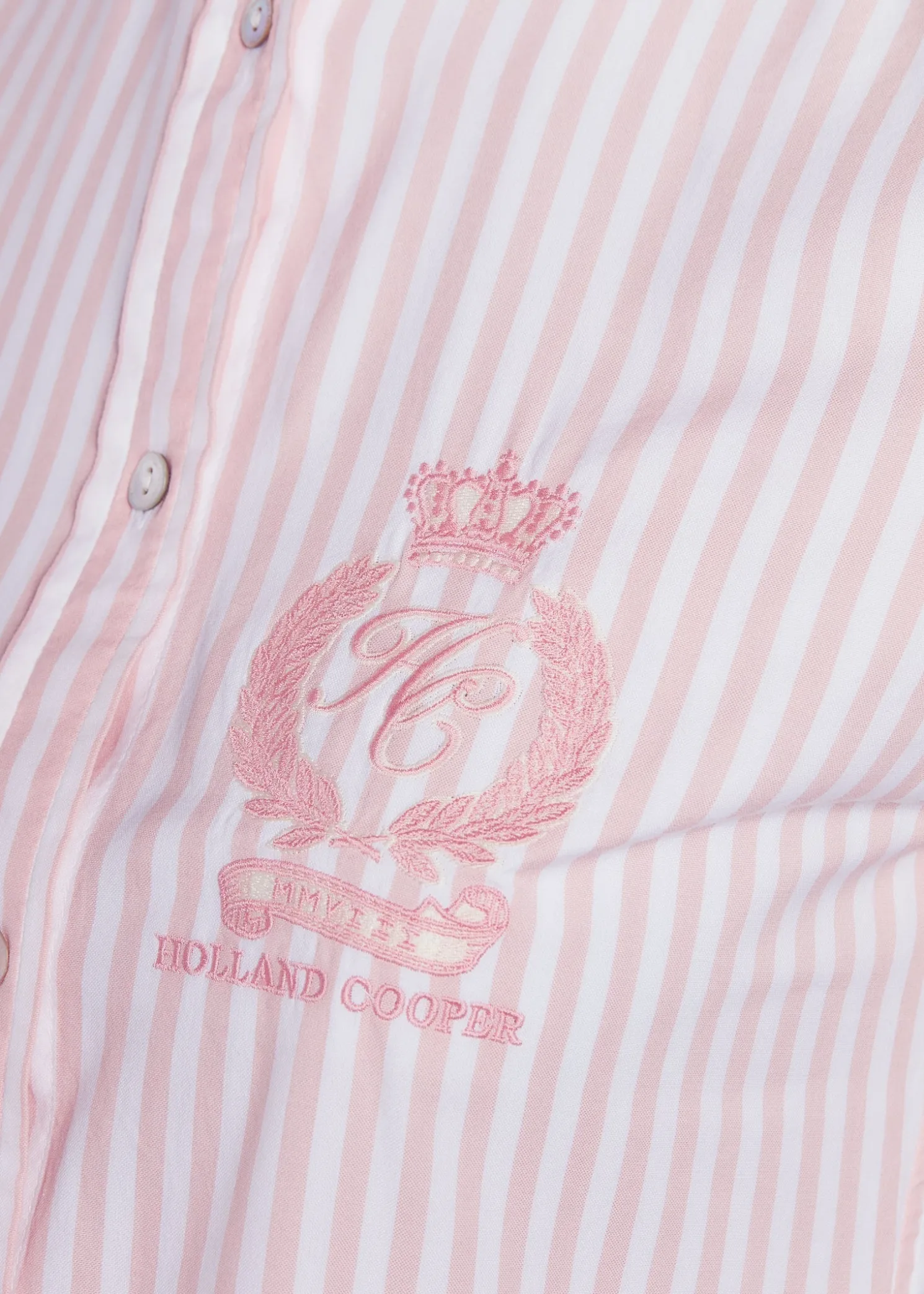 Classic Button Down Shirt (Pink Stripe)