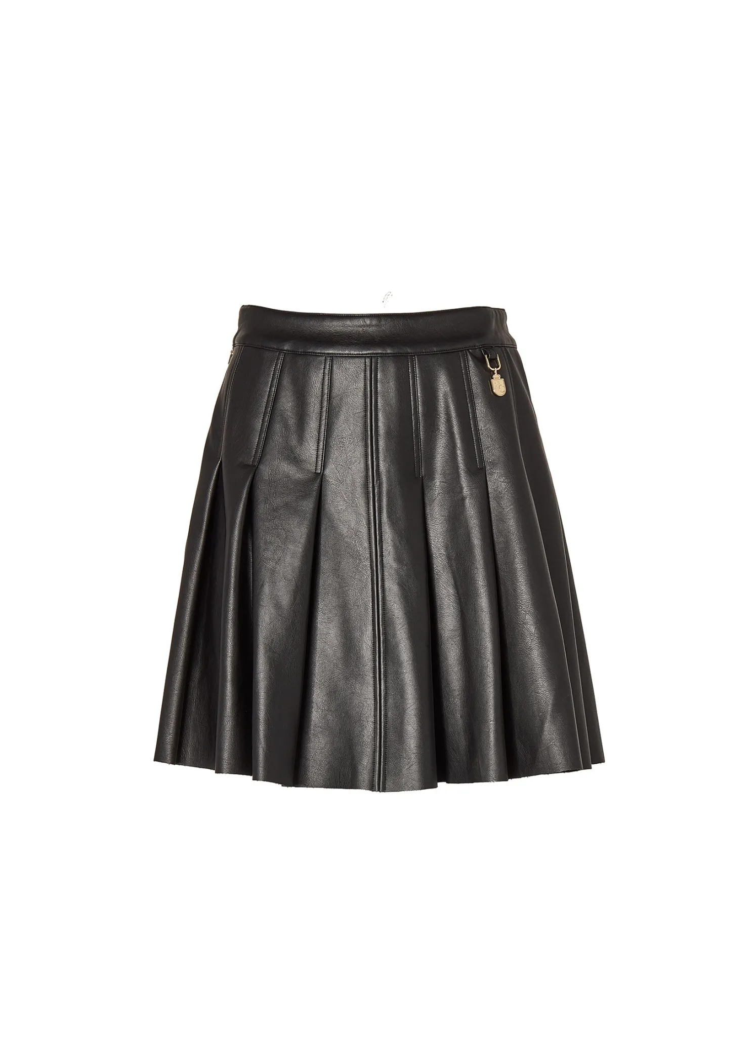 Faux Leather Pleated Mini Skirt (Black)